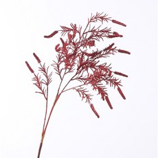 쏘앤영 세이지 조화, 레드, 1개