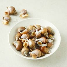 이프로마켓 동해안 당일바리 백골뱅이 생물 원물중량 1kg (냉장), 800g(소), 1개