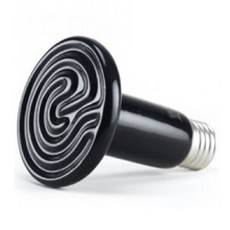 파충류전용 세라믹스팟 램프 150W, 혼합색상, 1개