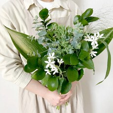 코코도르팜 생화 그리너리 믹스 절화, 그린