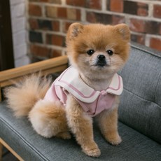 AMYLOVESPET 寵物水手背心, 粉紅色