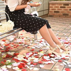PARTYHAE 花瓣雨活動花瓣, 深藍色, 5set