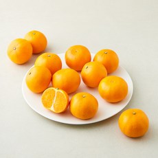 새콤달콤 천혜향, 1개, 2kg(소과, 10~13입)