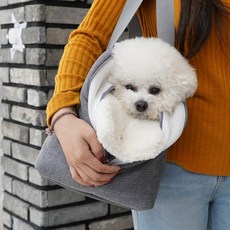 레드퍼피 반려동물 몽네르 이동가방, GRAY, 1개