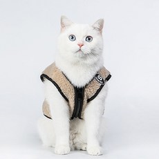 MING 반려동물 판다곰 털조끼, 혼합색상, 1개