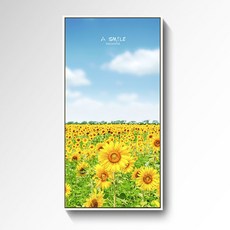 메이크미 현대 해바라기 그림 D, 화이트