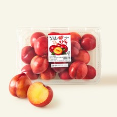 김천앤 내몸에 당도선별 자두 소과, 1개, 1kg