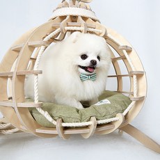 가또블랑코 반려동물 호박 스윙 하드하우스, 혼합색상