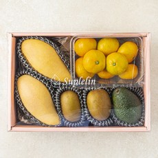 수플린 클래식 혼합 과일 선물 1.6kg 세트 2호, 1세트