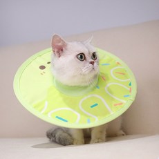 Lanboer 寵物甜甜圈頸圈, 1個, 綠色