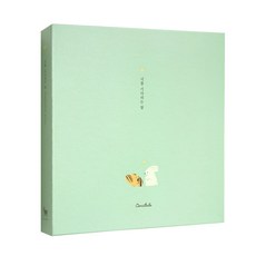 CONITALE 等待你的心 懷孕日記 超音波相簿, 薄荷綠, 48張, 1個