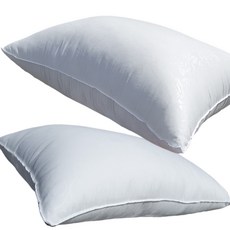 新季節拉鍊型枕芯 2入, 單一顏色