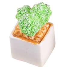 Blacktree 多肉植物花盆迷你公仔 C款, 1個