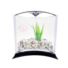 Rora Pet 三角魚缸+人造水草隨機出貨套組, 五色寺