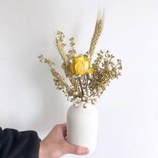 GAPANG 乾花DRYD010+花瓶, 07 號