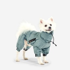 INTERLAKENCUSTOM Needs The Pet 狗狗連身雨衣, 綠色