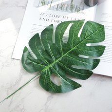 Store91 尤加利葉 拍攝道具 C, 混合色, 1個