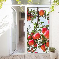 GGOOMIM 樹上紅蘋果 玄關門壁貼 ga457, 混合色, 100 x 210 cm