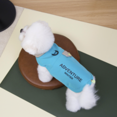 Baosre 狗狗馬卡龍色鋪棉背心 胸背帶, 藍色, 1個