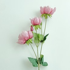 베누디 아네모네 조화, 핑크, 1개