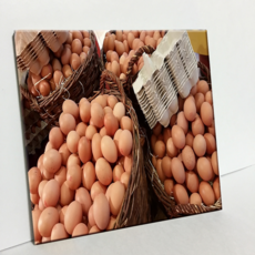 HTP 磁磚 複活節彩蛋 C2038