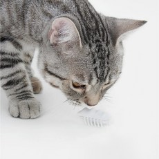 pidan 貓咪Pepe雪花怪獸蟲子玩具, 單一顏色, 1個