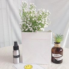 居家裝飾紙袋, 10個, 單一顏色