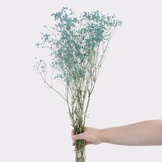 GAPANG 乾燥花人造花, 藍色 05號