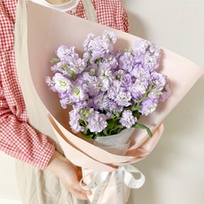 코코도르팜 생화 스토크 꽃다발, 퍼플