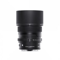 시그마DG DN L마운트 C 65mm F2