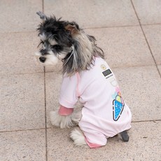 PASTEL PET 甜蜜冰淇淋寵物連身衣