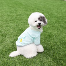 ITS DOG 寵物粉彩防風外套, 薄荷綠