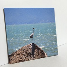 UDP 磁磚相框 A型 3935124, 單一顏色