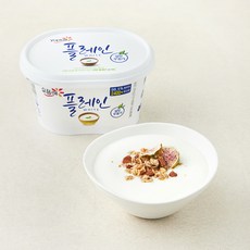 요플레 빙그레 플레인 화이트 요거트, 430g, 1개