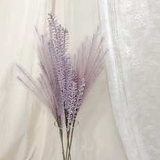 코제트 파스텔 팜파스 프리저브드 플라워 5p, 퍼플