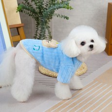 DING DONG PET 寵物胸背帶 星之國狗狗 Tok Tok T恤, 藍色, 1個