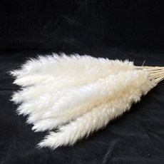 제이엠 조화 소갈대 2p, 화이트