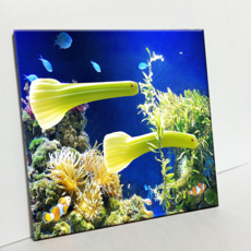 HTP 磁磚 芹菜造型魚 C2766