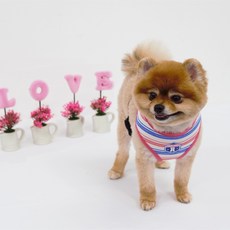 RealPet 寵物日常胸背帶, 粉紅色