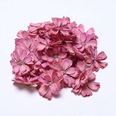 Maket Gamseong 乾燥花裝飾花 70入, 9