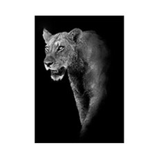 DM Corporation 黑白動物帆布海報 鬣狗