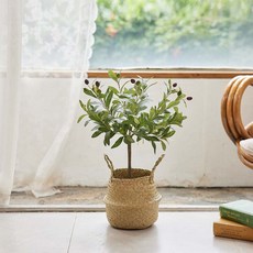 아스파시아 잭앤질 올리브 조화 + 해초바구니 세트, 그린(조화), 1세트