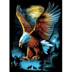 Alode 敏捷老鷹 興趣裝飾 鑽石畫 DIY 套組 方形 50 x 65 cm, NO 08, 1套