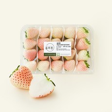 올푸릇 무농약 인증 화이트 딸기, 1개, 480g(대과)