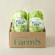 팜에이트 친환경 스마트팜 양상추 꾸러미, 1kg, 1개입, 1개