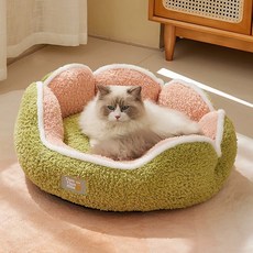 파스텔펫 반려동물 카투스 라인 극세사쿠션, 그린, 1개