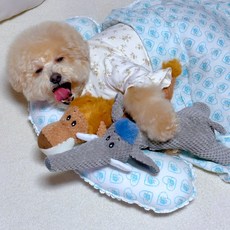 Petca 狗狗啾啾玩具玩偶 獅子+大象組合, 1套