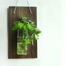 Roy 可愛感性迷你花盆組 木板 + 方形杯花瓶, 單一顏色