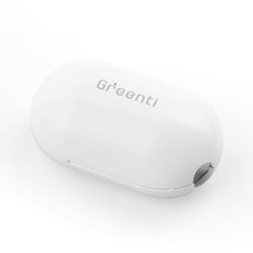 Greenti 휴대용 칫솔살균기, 화이트, RTS-1000