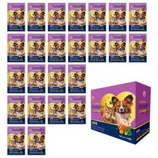 맘앤펫 리얼시리즈 반려동물용 죽, 참치, 100g, 24개